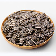 2021 Xinjiang Raw Natural dry large shape sunflower seeds